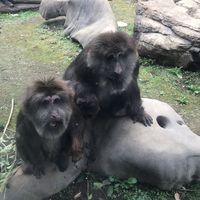 HIRO Michael's Photo