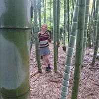 Fotos de Alix Favier