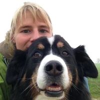 Karin & Marc Wetzel's Photo