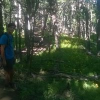 Photos de Tomas Robinson