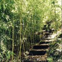 William Long's Photo