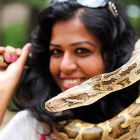 Sonali Bagrecha's Photo