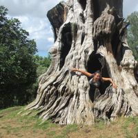 Greta Corazza's Photo