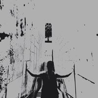 Finni McWilliam的照片