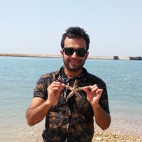 hamed delavar's Photo