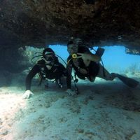 Photos de Pierrot Dufour