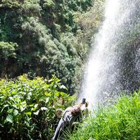 Laura Alzate Ramirez的照片