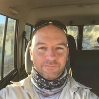 Fotos de Stuart Gallu