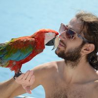 Ahmet Alacak的照片