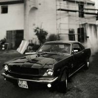 Clément Clareton的照片