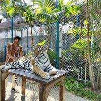 Yash Agarwal's Photo