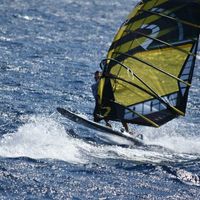 Moses Arbel的照片