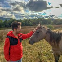 Rovshan Mirzaliyev的照片