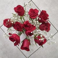 Jewel Landis的照片