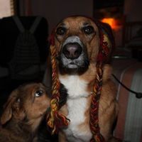 Rosa María Calvo Moya's Photo