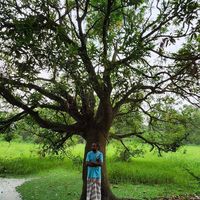 Nahidul Islam's Photo