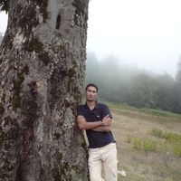 Kamal Shakiba's Photo