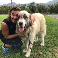 Luca Alfieri的照片