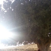 Фотографии пользователя Yasmine Bkh