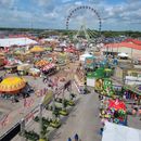 Florida Strawberry Festival's picture