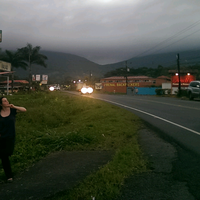 Marjane El-Hout的照片