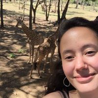 Nancy Wong Sick Hong的照片