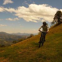 Nicolás  Ramos的照片