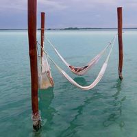 Cinthya Kupman's Photo