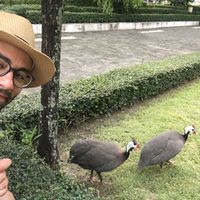 abbas amiri的照片