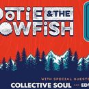 CONCERT: Hootie & the Blowfish + Collective Soul's picture