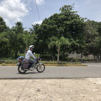 Baptiste Baugin的照片