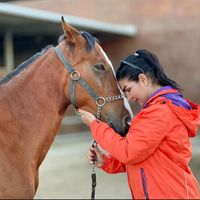 Fotos de Khatereh Rostum