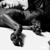 Carlos Ricardo Gomez Ocegueda's Photo