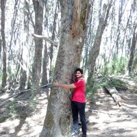 Federico Cartellone's Photo