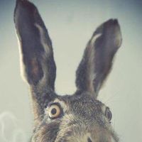 Olesya Lazareva's Photo