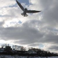 Michał Brajczewski's Photo