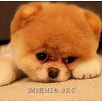 Francesca Spreafico的照片