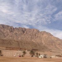 Esraa Fayez的照片