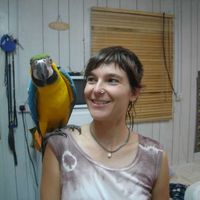 pera-sinkovec's Photo