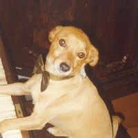 Fotos de Jerry Ciccino