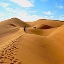 کمپ و پیمایش در کویر's picture