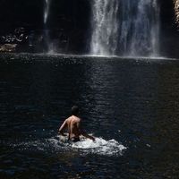 Felipe Pires's Photo