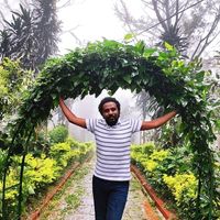 Mohamed Taha的照片