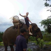 Akihiro Kojima's Photo