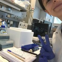 Fotos de Maria Angela Santoro