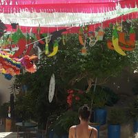 Isabel Tendero的照片