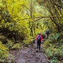 Immagine di Senderismo/ Hiking en Tena, Cundinamarca