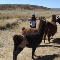 manon souquet's Photo