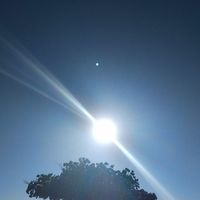 Mark Cocucci's Photo