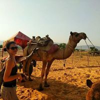 Alicia Hopkinson's Photo